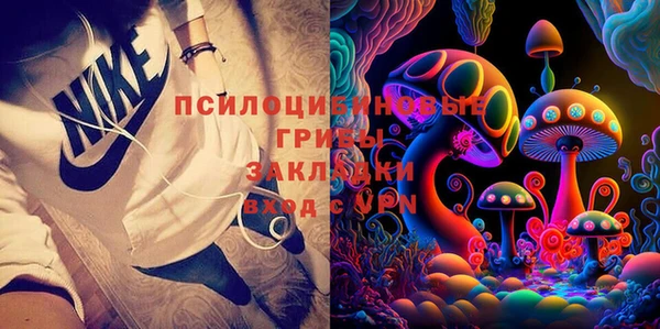 стаф Мегион