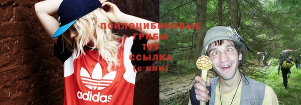 MDMA Медвежьегорск
