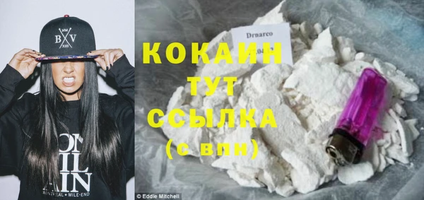 стаф Мегион
